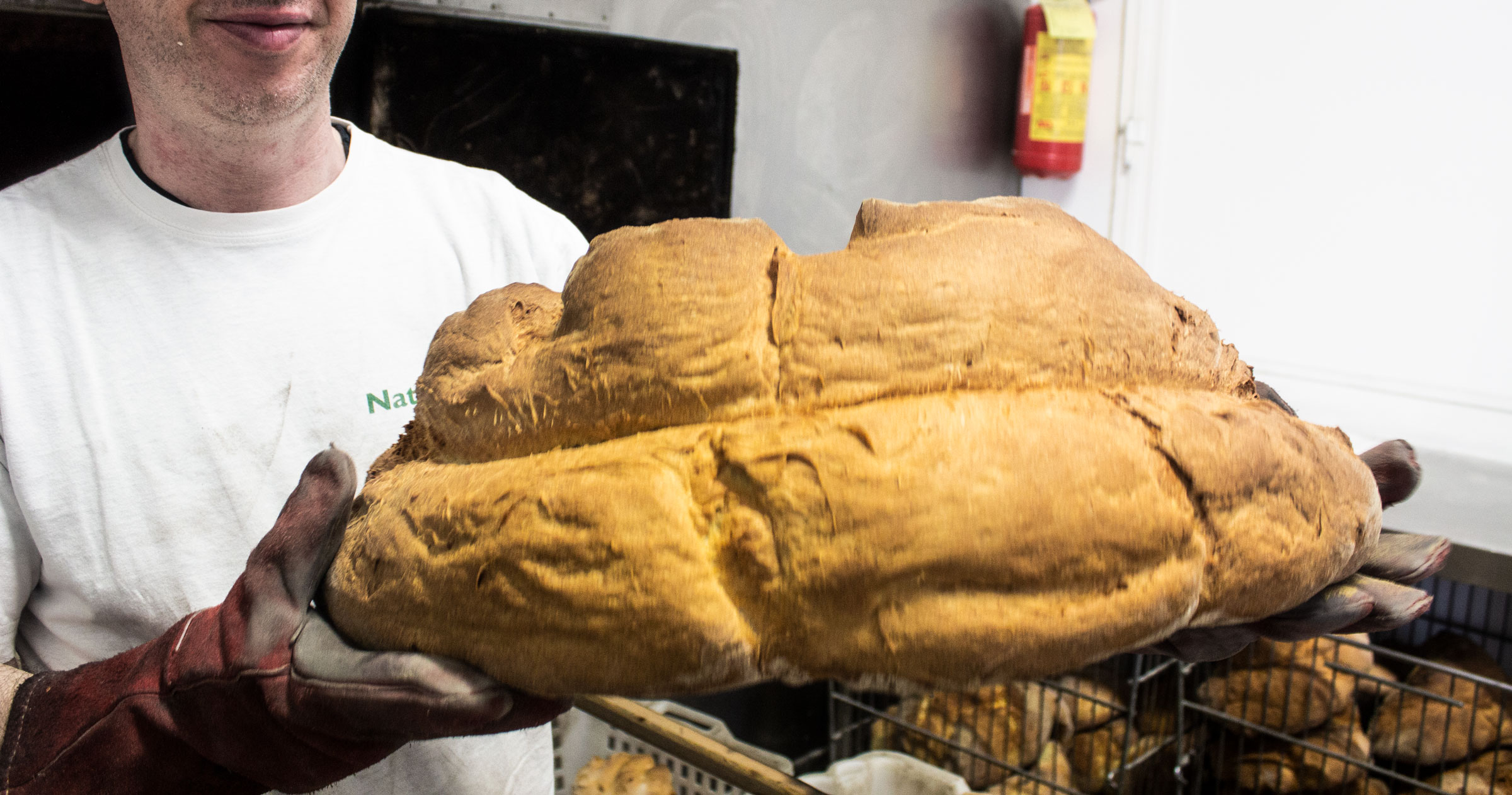 Una forma da 3 kg del famoso pane di Matera