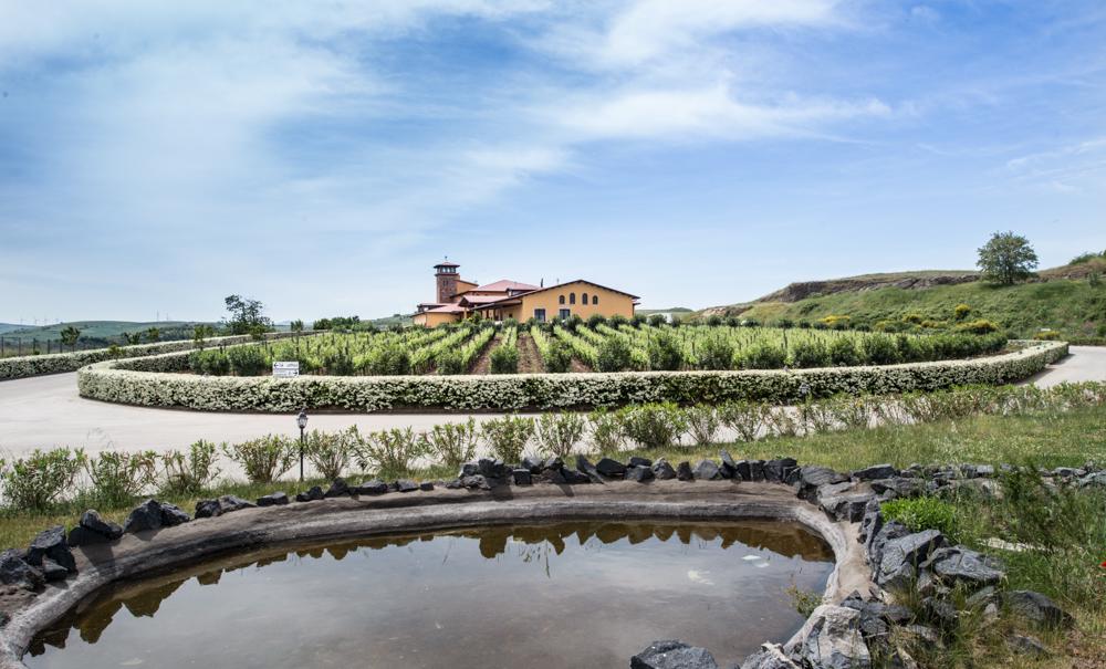 Cantine del Notaio, innovazione e tradizione nel segno del vino
